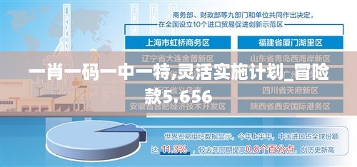 一肖一码一中一特,灵活实施计划_冒险款5.656