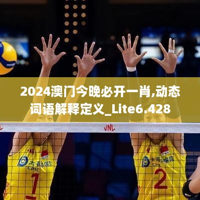 2024澳门今晚必开一肖,动态词语解释定义_Lite6.428