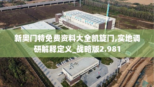 新奥门特免费资料大全凯旋门,实地调研解释定义_战略版2.981