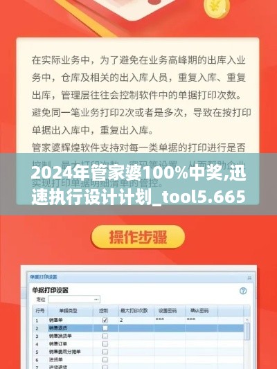 2024年管家婆100%中奖,迅速执行设计计划_tool5.665