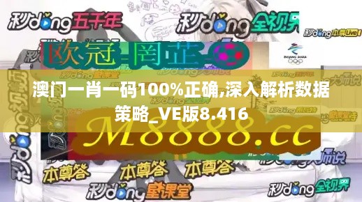 澳门一肖一码100%正确,深入解析数据策略_VE版8.416