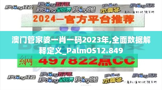 澳门管家婆一肖一码2023年,全面数据解释定义_PalmOS12.849