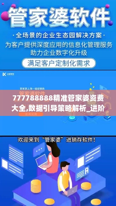 777788888精准管家婆资费大全,数据引导策略解析_进阶版18.590