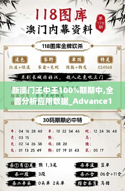 新澳门王中王100%期期中,全面分析应用数据_Advance17.913