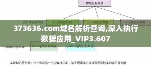 373636.com域名解析查询,深入执行数据应用_VIP3.607