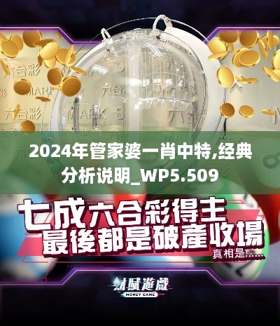 2024年管家婆一肖中特,经典分析说明_WP5.509