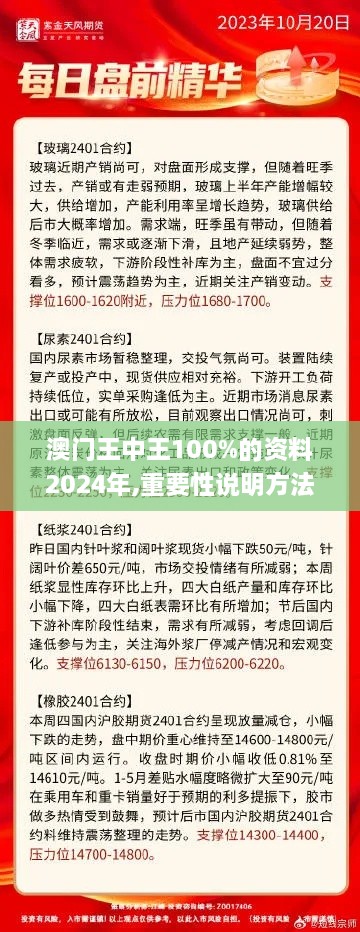 澳门王中王100%的资料2024年,重要性说明方法_L版8.600