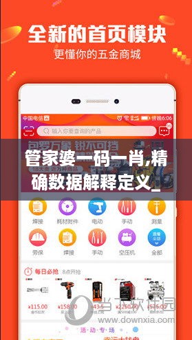 管家婆一码一肖,精确数据解释定义_特供版3.607