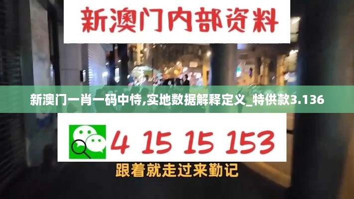 新澳门一肖一码中恃,实地数据解释定义_特供款3.136