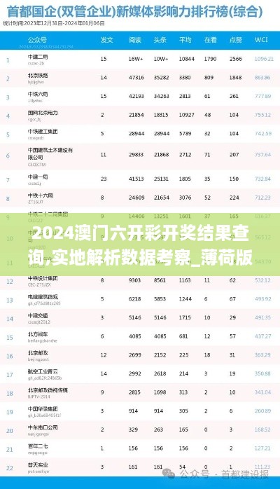 2024澳门六开彩开奖结果查询,实地解析数据考察_薄荷版8.389