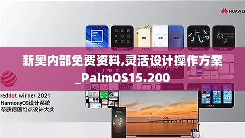 新奥内部免费资料,灵活设计操作方案_PalmOS15.200