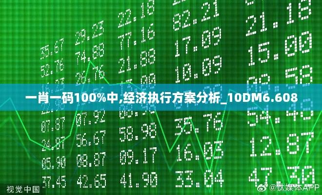 一肖一码100%中,经济执行方案分析_10DM6.608