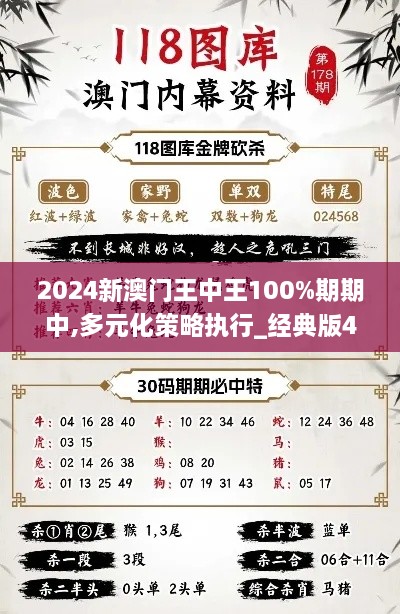 2024新澳门王中王100%期期中,多元化策略执行_经典版4.480