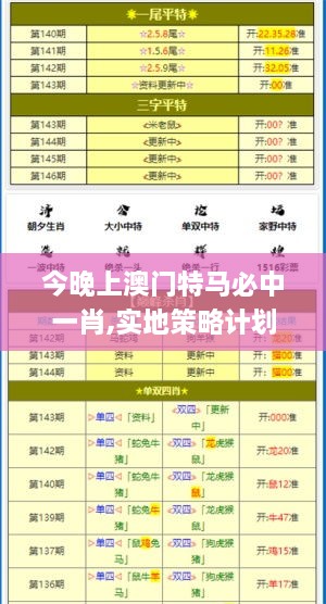 今晚上澳门特马必中一肖,实地策略计划验证_FT5.418