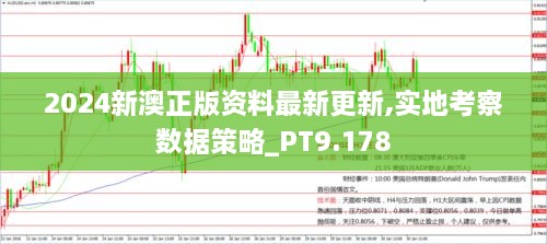 2024新澳正版资料最新更新,实地考察数据策略_PT9.178