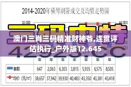 澳门三肖三码精准财神爷,连贯评估执行_户外版12.645