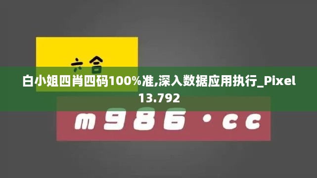 白小姐四肖四码100%准,深入数据应用执行_Pixel13.792