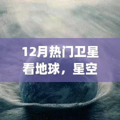 2024年12月8日 第39页