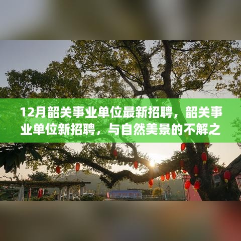 韶关事业单位新招聘启幕，与自然美景相伴，探寻内心宁静之旅