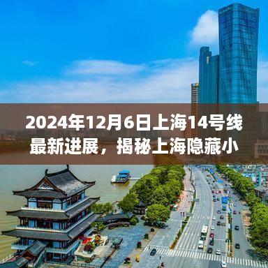 2024年12月6日上海14号线最新进展，揭秘上海隐藏小巷中的宝藏小店，探寻上海地铁14号线最新进展的独特魅力之旅