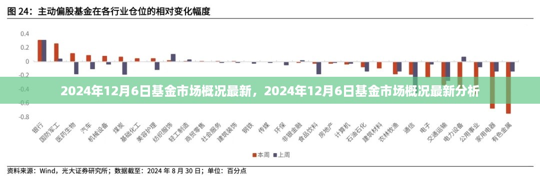 2024年12月6日基金市场概况深度解析