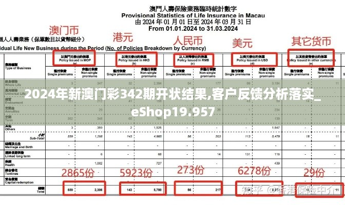 2024年12月8日 第33页