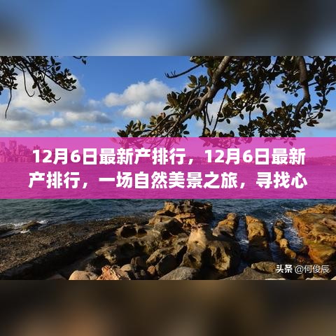 12月6日最新产排行，自然美景之旅，探寻心灵宁静港湾