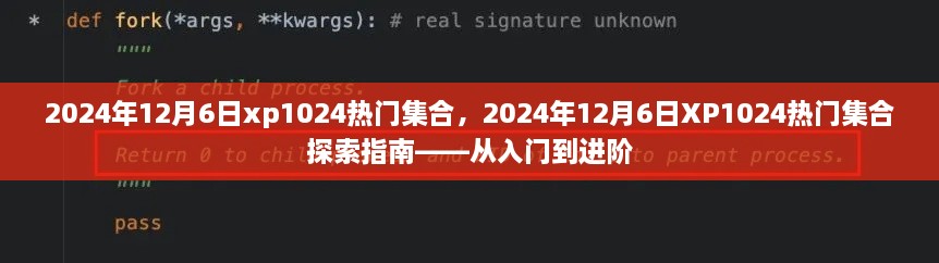 2024年12月6日XP1024热门集合探索指南，从入门到进阶