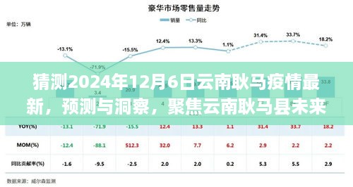 聚焦未来，云南耿马县疫情发展预测与洞察（2024年视角）