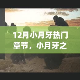 12月小月牙热门章节深度解析，光芒闪耀之处