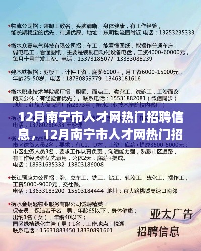 12月南宁市人才网热门招聘信息详解与全面评测