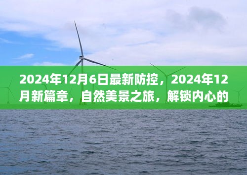 2024年12月新防控措施下的自然美景之旅，解锁内心宁静的密码