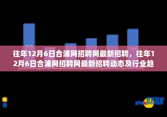 往年12月6日合浦网招聘最新动态与行业趋势分析