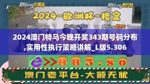 2024澳门特马今晚开奖343期号码分布,实用性执行策略讲解_L版5.306