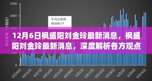 枫盛阳刘金玲最新消息深度解析，各方观点与个人立场探讨