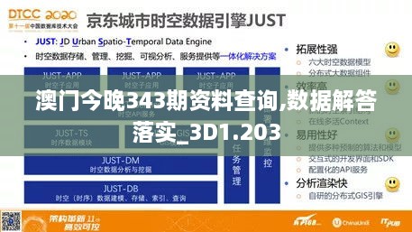 澳门今晚343期资料查询,数据解答落实_3D1.203