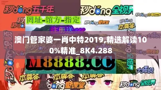 澳门管家婆一肖中特2019,精选解读100%精准_8K4.288