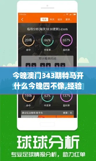 今晚澳门343期特马开什么今晚四不像,经验解答解释落实_tool6.951