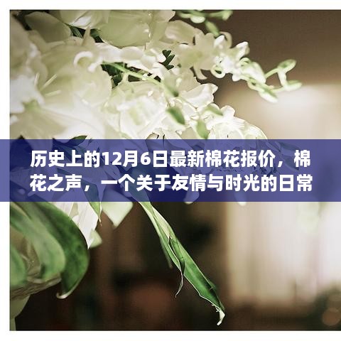 棉花之声，历史上的今日棉花报价与友情时光故事