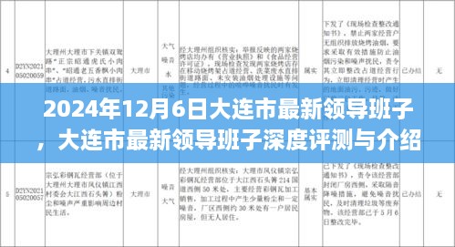 大连市最新领导班子深度解析与评测——以新任领导团队为核心观察点（2024年观察）