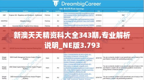 新澳天天精资科大全343期,专业解析说明_NE版3.793