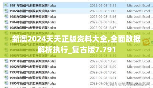 新澳2024天天正版资料大全,全面数据解析执行_复古版7.791