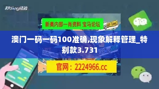 澳门一码一码100准确,现象解释管理_特别款3.731