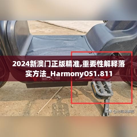 2024新澳门正版精准,重要性解释落实方法_HarmonyOS1.811