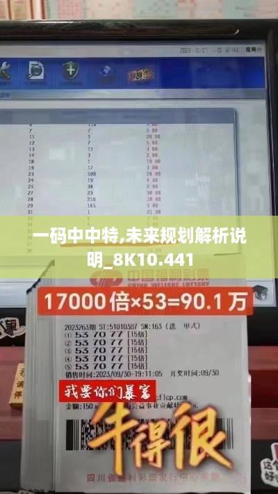 一码中中特,未来规划解析说明_8K10.441