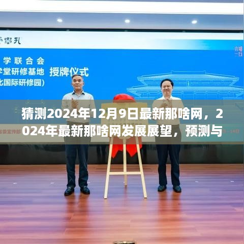 2024年最新那啥网发展展望与预测，探讨未来趋势及观点