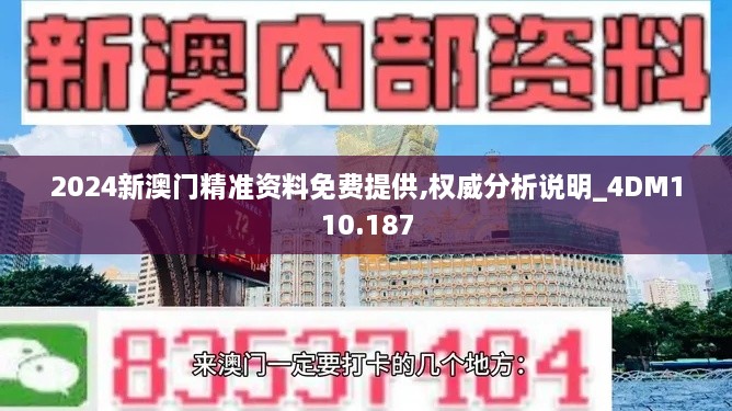 2024新澳门精准资料免费提供,权威分析说明_4DM110.187