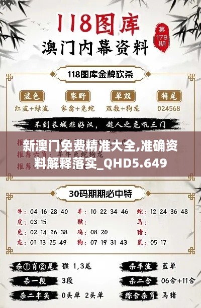 新澳门免费精准大全,准确资料解释落实_QHD5.649