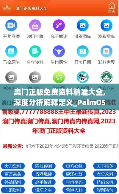 奥门正版免费资料精准大全,深度分析解释定义_PalmOS10.175