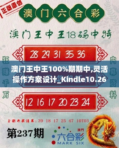 澳门王中王100%期期中,灵活操作方案设计_Kindle10.267